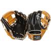 Black / Tan | Pro I Web