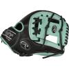 Black / Mint | Pro I Web