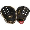 Modified Pro H-Web | Black / Gold
