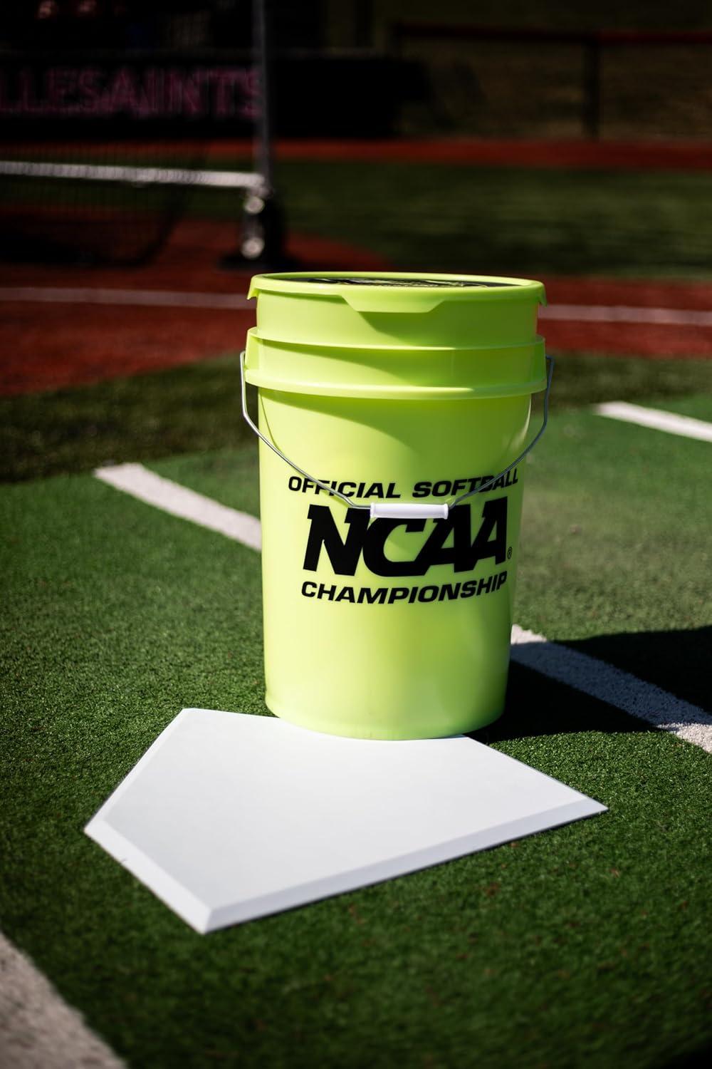 imageRawlings  Bucket of 18 Practice Softballs  Ages 12U  12  Synthetic Cover2023